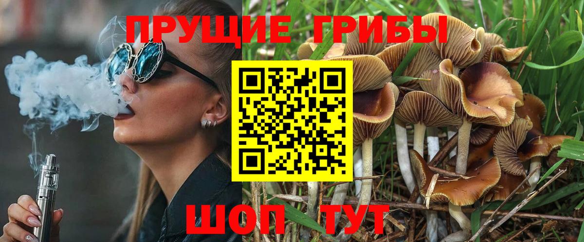 Галлюциногенные грибы MAGIC MUSHROOMS Топки